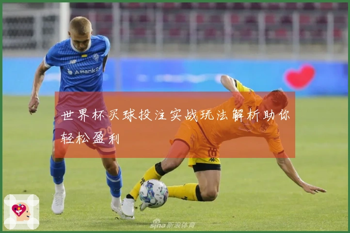 世界杯买球投注实战玩法解析助你轻松盈利