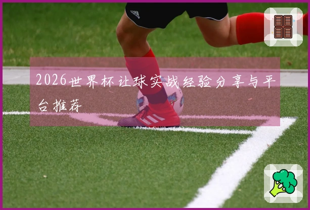 2026世界杯让球实战经验分享与平台推荐