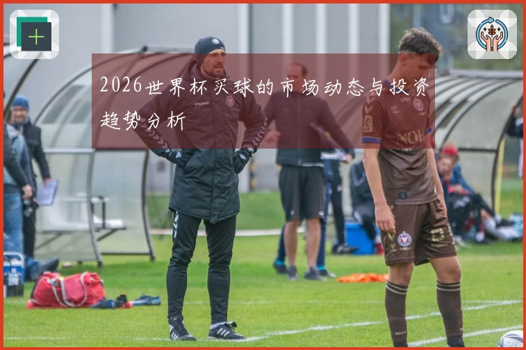 2026世界杯买球的市场动态与投资趋势分析